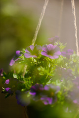 C4C23643-BD5A-4BD4-8FAB-532123CE0D38