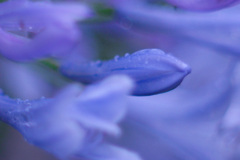 4D041AE0-F228-4CE6-A15A-F3204822E9B0
