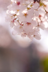 75A1F3D3-AE5C-4503-A2FB-49A613925203