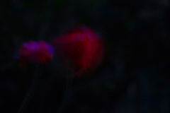 73D21410-A6D9-4B2E-91EB-76CB0474B491