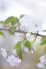 C2334BBE-EF4E-433E-B6E7-A1CE1976F3EF