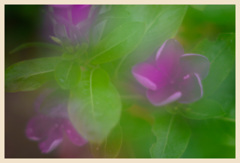 693786E4-A036-4AD3-9AA7-0CC0FC480C9B