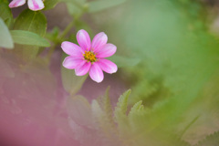 C0A784CD-2BA2-4B97-B204-D4B0EAE602F7