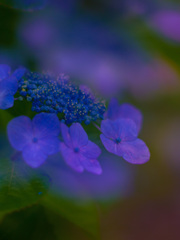 82CDEDAC-A7FE-4F2F-BD83-7D9238DC6CB5