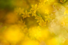 3706CC24-A650-4654-9E69-35675BFD4B17