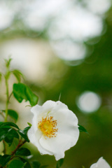 253CA98E-F895-4F91-B1BC-AC4FB373563D