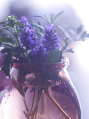 6A7F8A09-FD03-44D0-BB09-D42324F68BA8