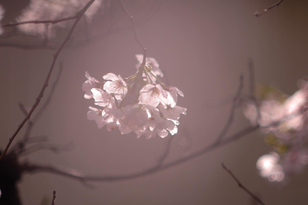 558C19D0-95BB-474B-B9E0-D0ED52B1F9B7