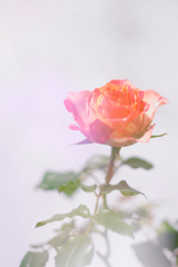 3058BD37-F97A-4925-BDC8-890D6285BEE4