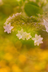 132B6D52-5BD5-4834-B982-98E41D9DB422