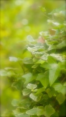 19DB1808-5CBB-41FE-AFD5-BA1C7FB91470