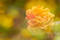 CE48A786-8C19-4BBD-8313-9AF71C61E6AA