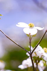 0009F1BD-32D7-49C1-98D9-CDB291007C41