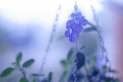 91CD1AC6-8C06-4D41-BC66-726535909426