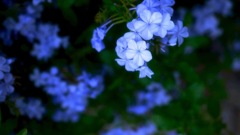 CBB1F0EF-64B1-47E8-849D-D7A4F1949D9E