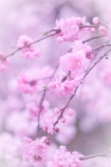 C564E45B-6D6C-4A32-B84A-1C2A4077E562