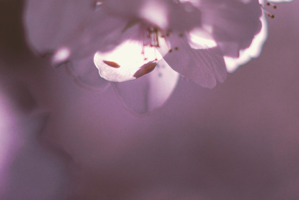 9D92878D-891B-436E-949A-4600C5DD5D9D