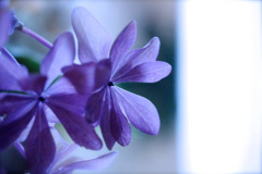 4F70D6EF-6313-44DB-9F1C-6446ED23FD1B