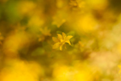 16801D97-5A71-4B3A-9EAD-56542824C90D