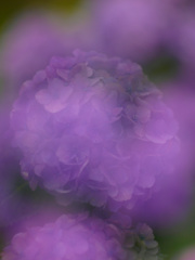06B167BE-0742-4C2B-AA90-B307BA2A190B