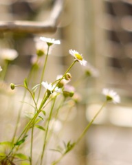 CE2A1AD2-F5FE-4504-AAFA-7E6B52398DBC