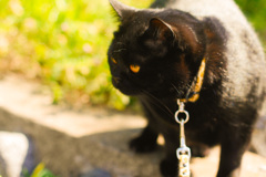 85A7956A-3AA9-4EBF-A912-3DDC11FB61C3