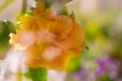 EA750659-DF84-4761-A524-F572B00EAC2F