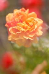 2DEF17E7-C46C-4298-8E5C-7FA2F70A5098