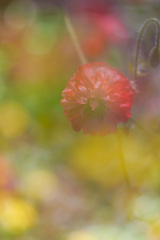 A07DB96B-39FD-40B2-8877-558DCB9ACB04