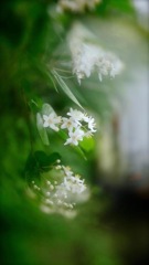 9FA4622F-6085-49A8-90D9-E074274CEF75