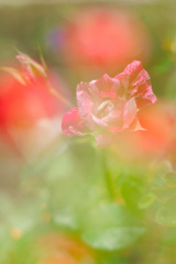 4B1C9542-B305-45FF-8361-5929CBCF8758