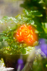 25C82E68-1C36-41F3-9BB9-96845D5ADEBD