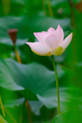 6C208990-3FB0-41D3-A87F-8149C9A54157
