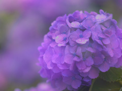 8929C9B9-057B-4595-991B-20C9738B9587