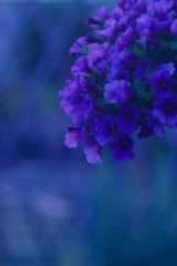 0D895582-89AB-4110-AF22-8C303D2C3241