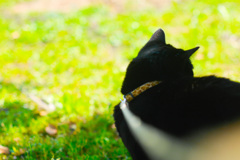 495C1591-80AF-4034-92EB-C19058195CF2