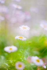 4C7CB92A-8559-472E-AB92-597F0C2880EC