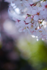 C666AC04-7029-429D-AC9A-9712938BDDBE