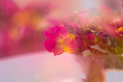 291B80BE-C8F5-4080-927A-7756738C53F5