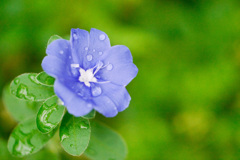 A6CA53A5-9C07-4246-9DD7-7E5DAC126DDC