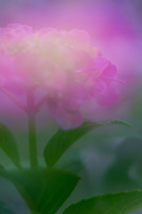 9A161008-3C8E-47E3-9408-100E48D5FD0E