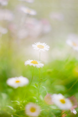 83906EE8-242A-4436-9E1F-10D49C928EDE