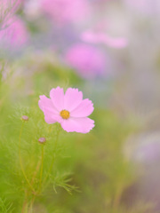 FB884F99-EB33-436F-B13F-983DCA5B650F