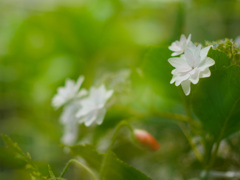 40F7F967-AC62-482B-B971-F6AD2C84AB01