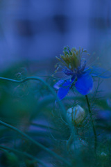 2D922474-A501-4F6C-AE0D-8EE548E80556