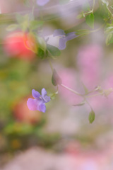 C4EBA706-D3BE-45C5-A613-F7F6817FCDEE