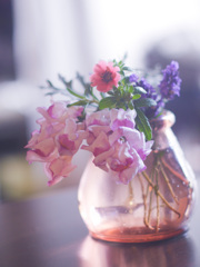 9A7B344D-4F6F-4987-A6FF-7DAC866022BD