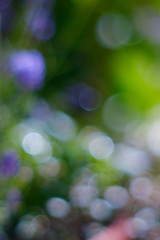 CF78EB7F-4BE3-41D8-84EB-F047E7E9636E