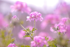 0DC8DBB3-D566-4C65-A1FE-41FF4C6F15D8