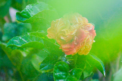 B3E5D80C-7609-4080-866E-6494F5E65100